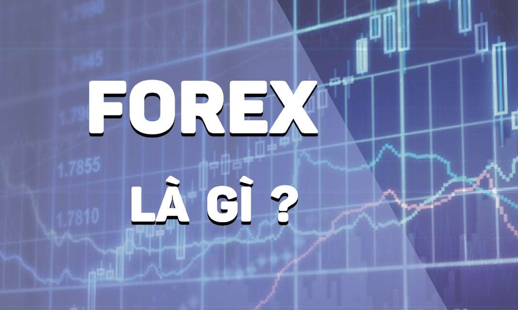 Forex là một lĩnh vực đầu tư mới mẻ và đang trên đà phát triển mạnh mẽ