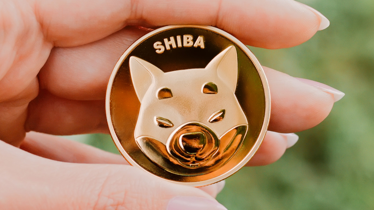 Tiền điện tử Shiba sẽ là một loại tiền mã hóa meme sẽ có thể vượt qua Dogecoin trong tương lai