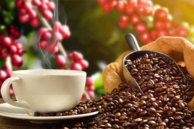 Theo tình hình thấy được năm 2022 là năm giá cà phê tăng mạnh mẽ, cao hơn năm ngoái